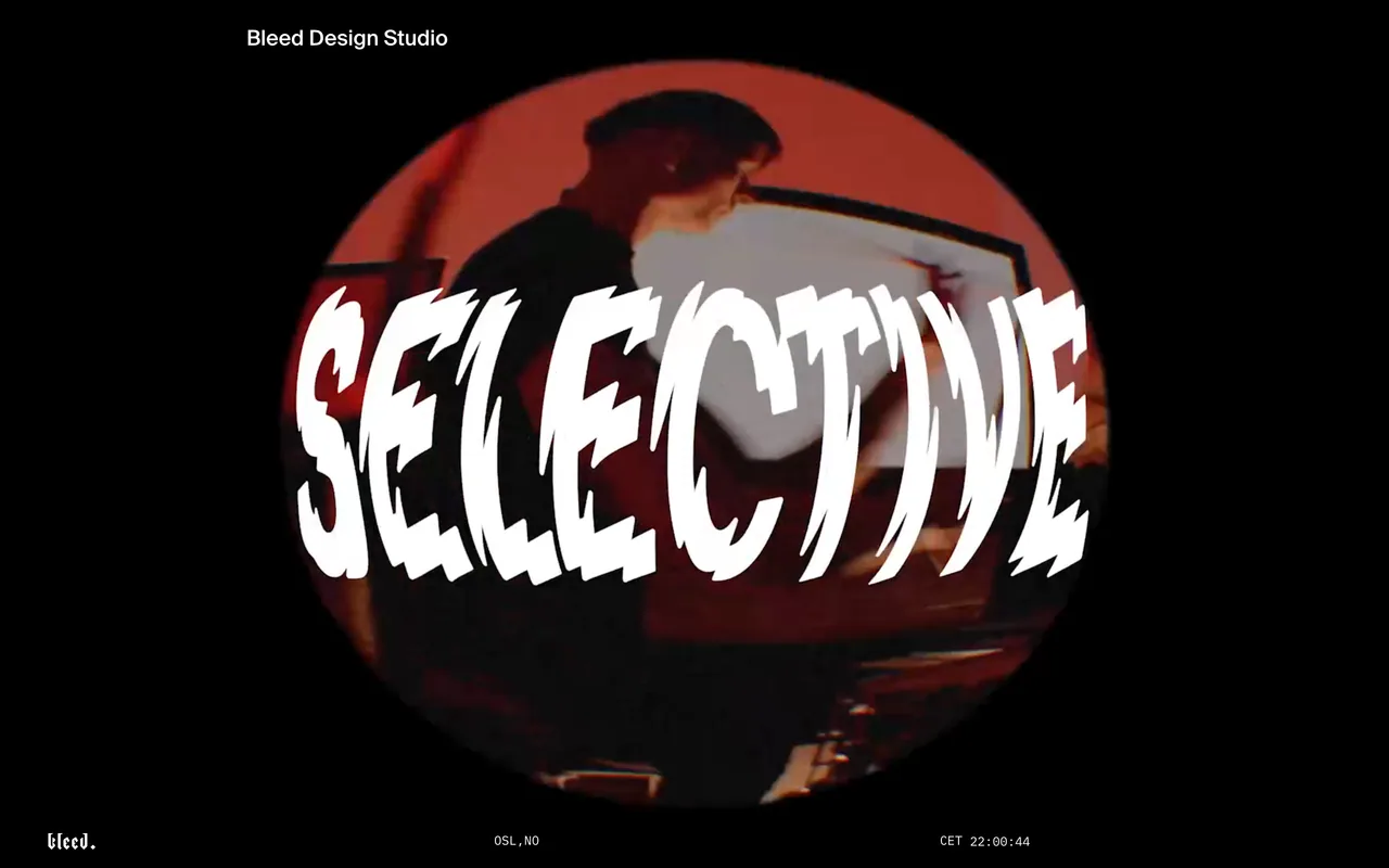 Screenshot of the Bleed website (bleed.com)
