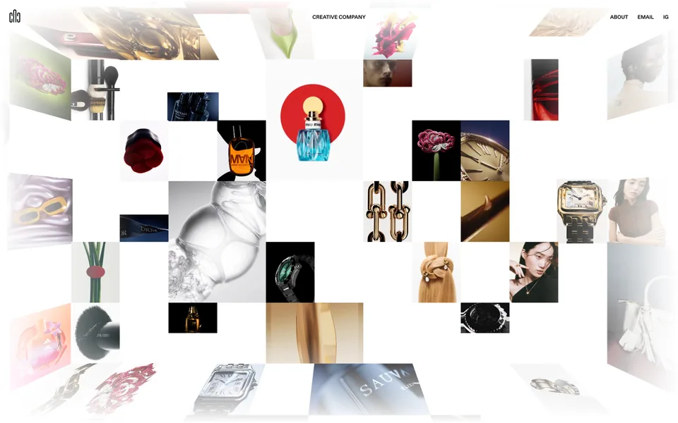 Screenshot of Cactus Digitale