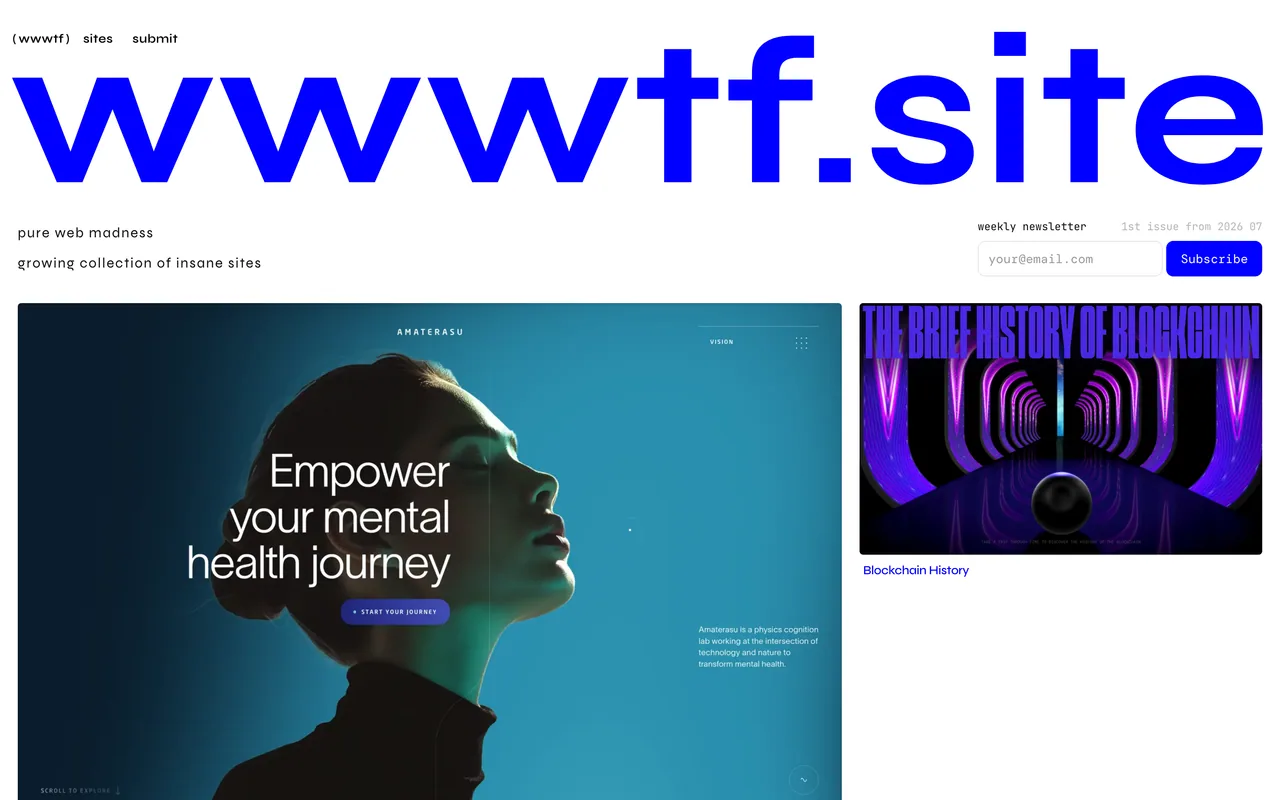 Screenshot of the wwwtf.site website (wwwtf.site)